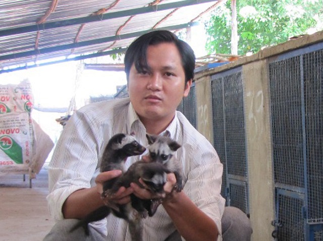 Chồn hương sinh sản giống nên chọn những con khỏe mạnh, không bị thương tật