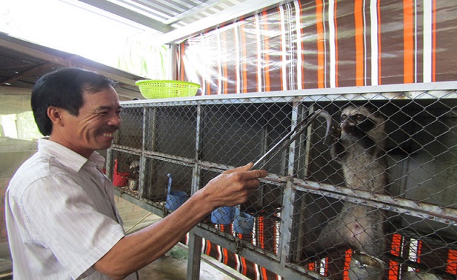 Chuồng nuôi chồn hương cần đảm bảo độ sạch sẽ và thông thoáng