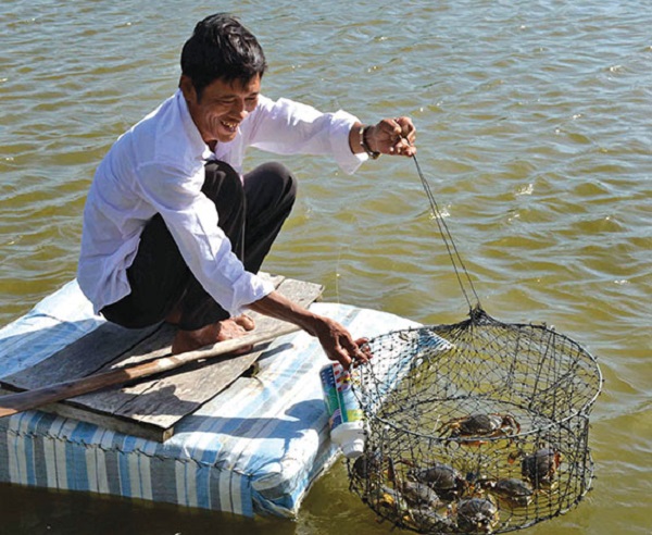 Diện tích ao nuôi cua biển cần được xây dựng theo kích thước tiêu chuẩn