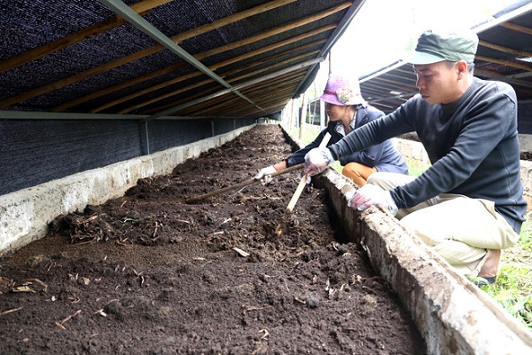 Khi kiểm tra nếu thấy thức ăn xốp thì tức là giun đã ăn hết