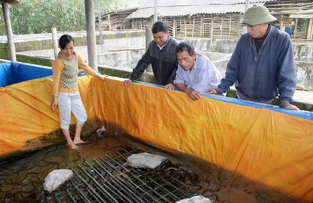 Lươn cũng rất dễ mắc phải bệnh nhiễm giun