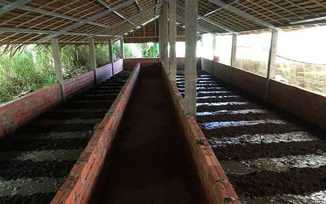 Nơi làm chuồng nuôi trùn quế cần cách xa những mối nguy hại như chuột, kiến, mối…