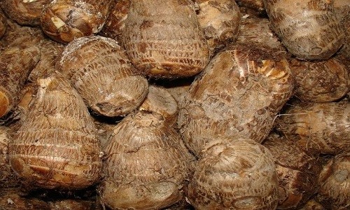 Khoai sọ(khoai môn) dùng ăn tươi, chế biến thành nhiều loại sản phẩm nông sản khác nhau.