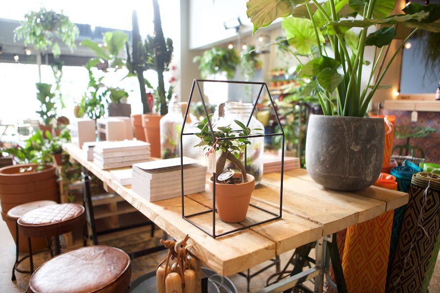 Ban Công Xanh hỗ trợ khách hàng nhiệt tình, tận tâm