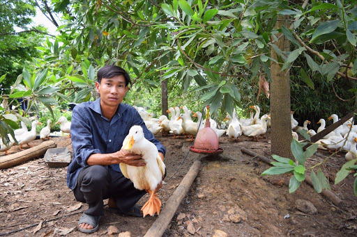 nuôi bịt trên cạn kết hợp trồng trọt