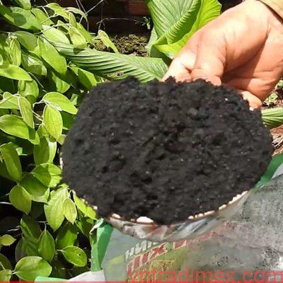  Sử dụng phân bón Humic làm chết cây