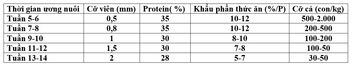 Thức ăn nuôi cá tra giống tuần thứ 5