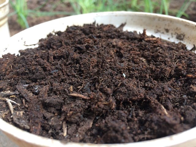 Vai trò của ủ trấu hoai mục