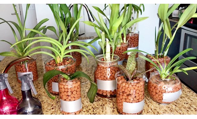 Những chậu cây sử dụng đất nung