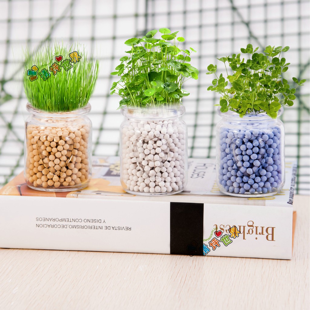 đất nung trồng cây màu sắc