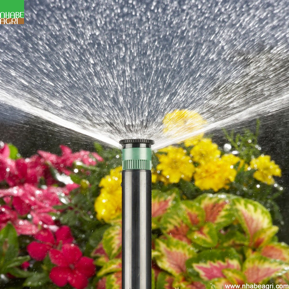 Béc tưới thảm cỏ sân vườn Hunter PSU04