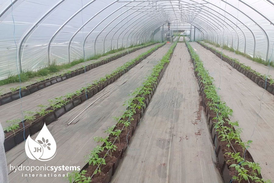 Máng đựng giá thể Hydroponic 2