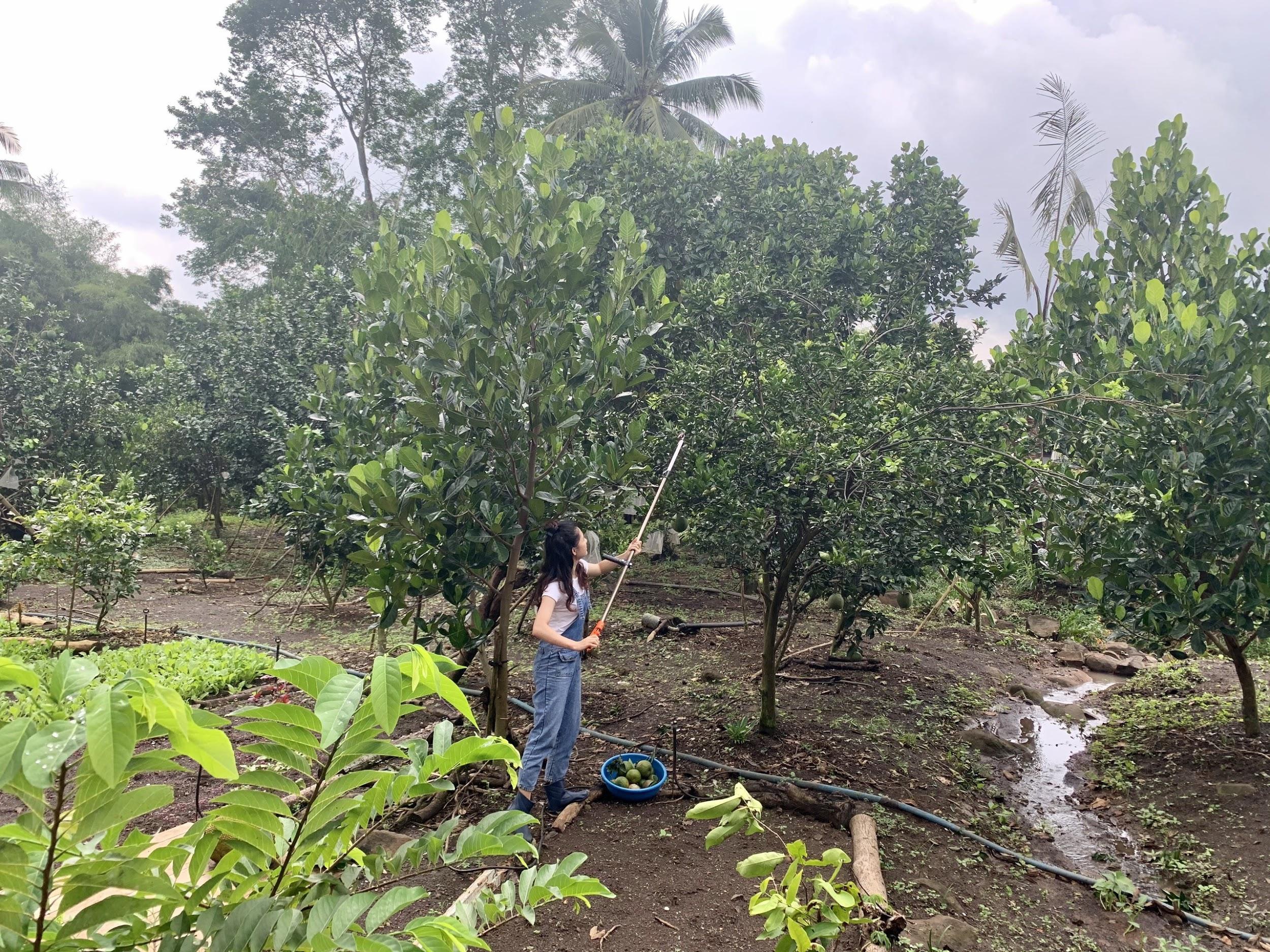 Nhà gỗ vườn đẹp tại Long khánh - Đồng Nai 10