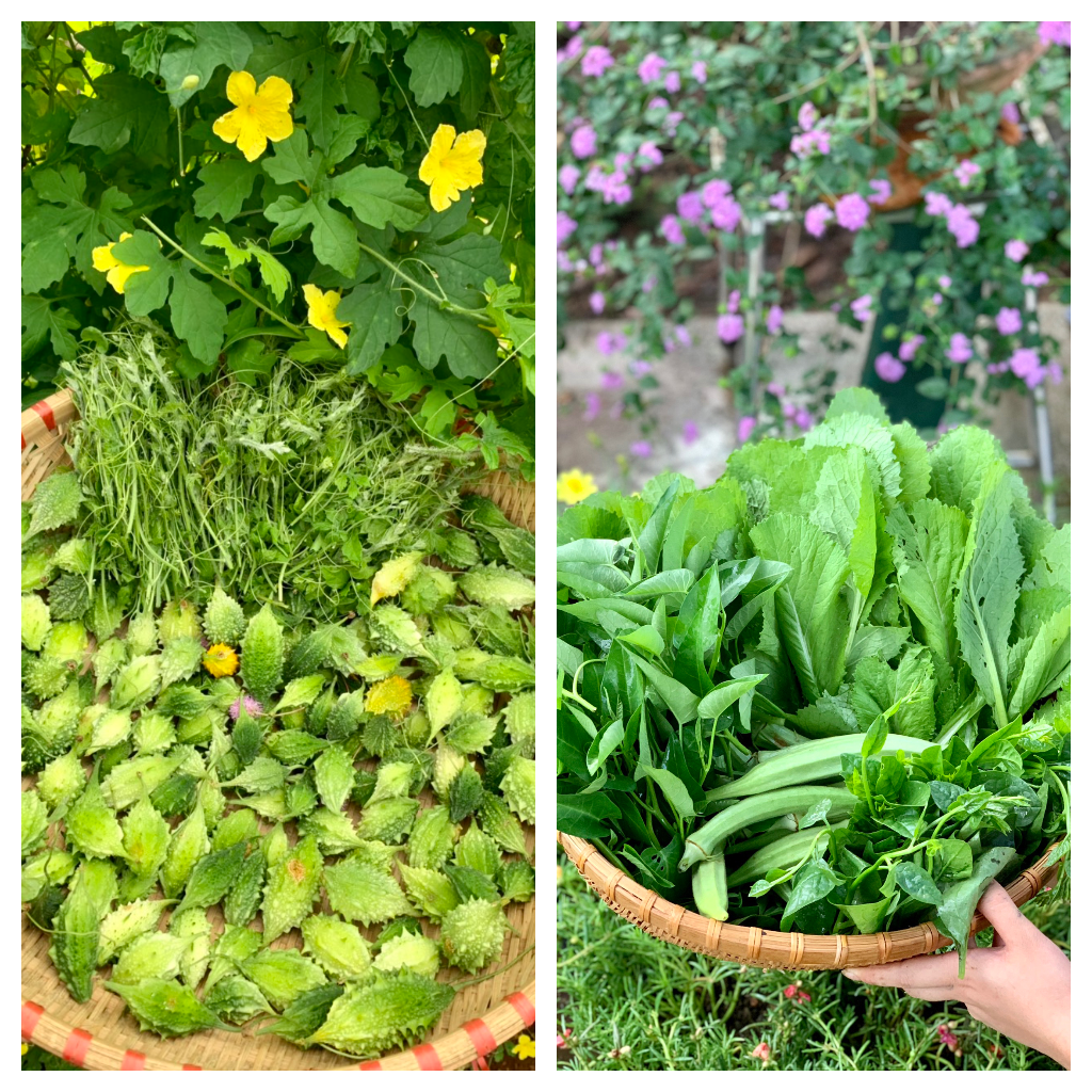 Nhà gỗ vườn đẹp tại Long khánh - Đồng Nai 12