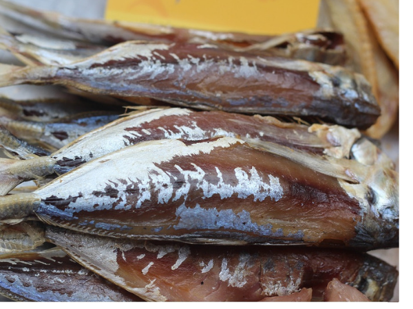 đặc sản cá nục 1 nắng Quảng Ninh