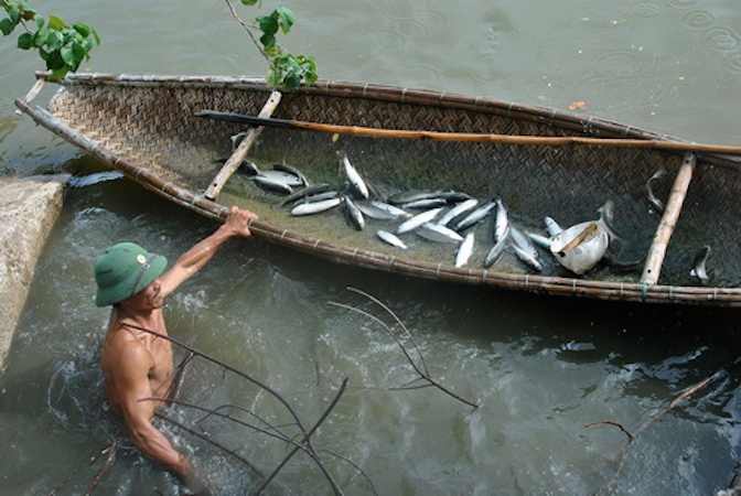 Địa điểm ao nuôi cá