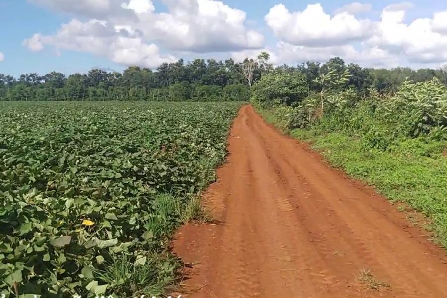 Xem xét kỹ lưỡng trước khi giao tiền mua đất làm mô hình nhà vườn