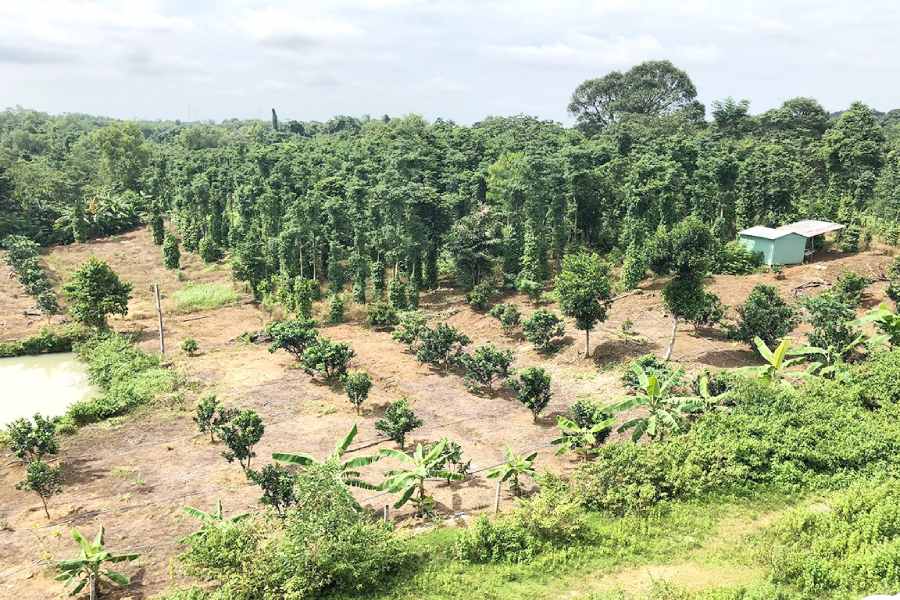 Rắc rối khi mua đất làm nhà vườn