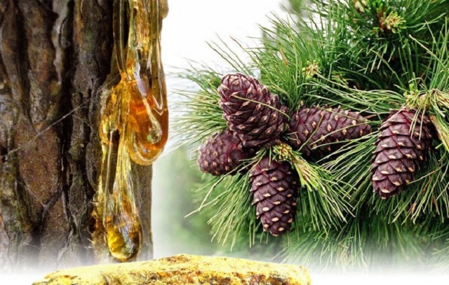 Nhựa thông được điều chế đúng tỷ lệ khi sử dụng sẽ mang đến hiệu quả cao mà không gây kích ứng da