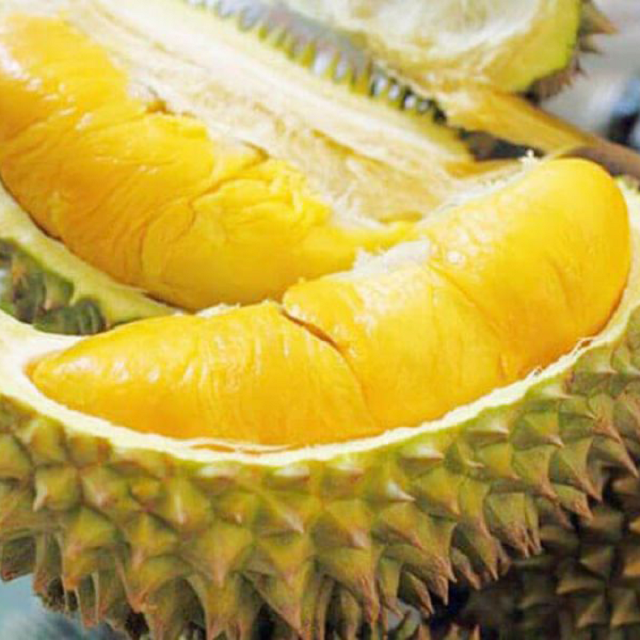Sầu riêng R6 với hương thơm ngào ngạt cùng vị ngọt dẻo sẽ mang đến cho bạn những cảm nhận tuyệt vời