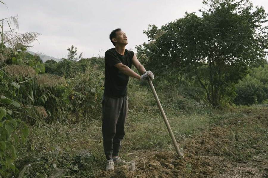 Ấp ủ dự định về xây dựng xã hội tự do, hạnh phúc