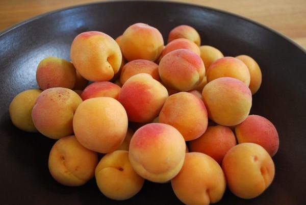 Mơ Hương Sơn với hương vị ngọt chua dịu kích thích vị giác người thưởng thức