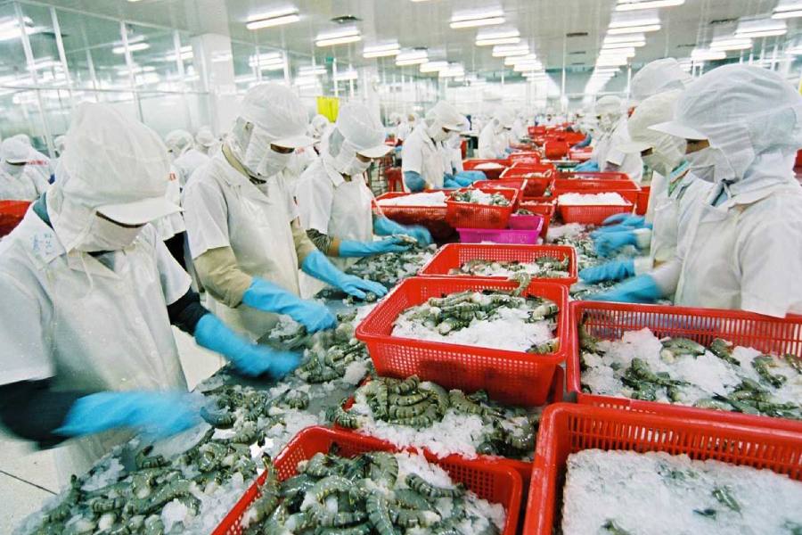 Nền nông nghiệp hứa hẹn có nhiều triển vọng