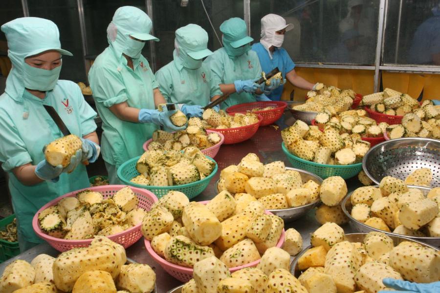 Kim ngạch xuất khẩu nông sản đạt kỷ lục