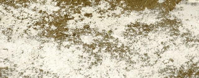 Vôi giúp đất giải độc