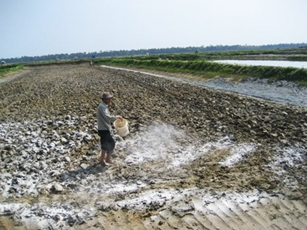 Lượng vôi bón cho các loại đất trồng sẽ có sự khác biệt