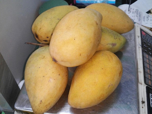 Xoài cát Chu có hương thơm đặc biệt rất hấp dẫn