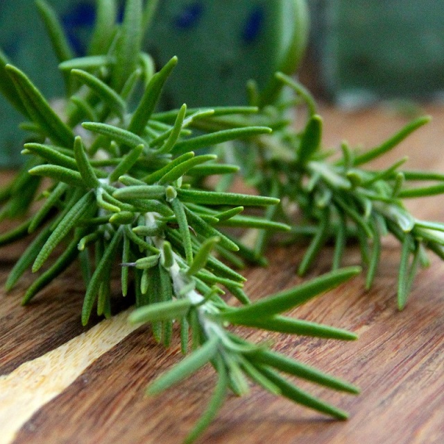 Hương thảo là loại cây có mùi hương giúp đuổi muỗi hiệu quả