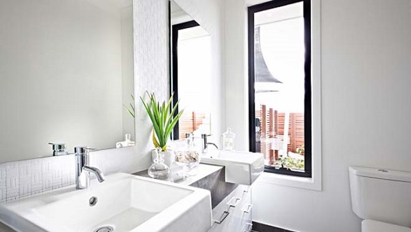 Lưỡi Hổ – Một trong các loại cây trồng trong nhà vệ sinh tốt nhất