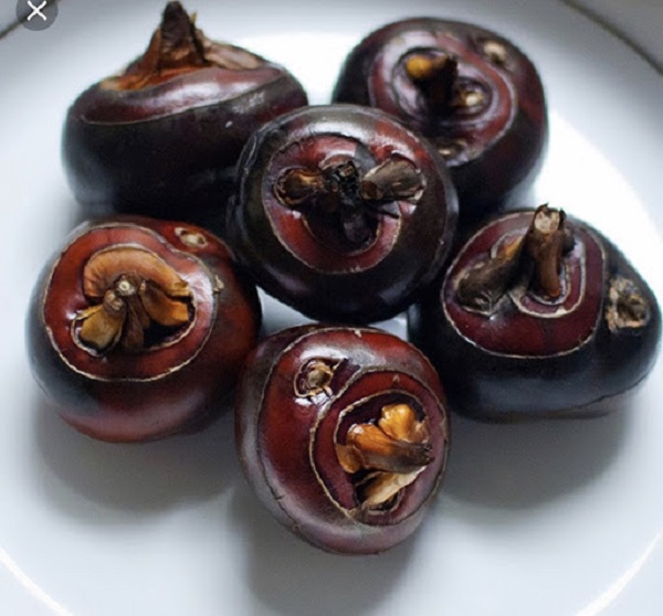 Hiện nay củ năng được trồng nhiều nhất tại Đà Lạt