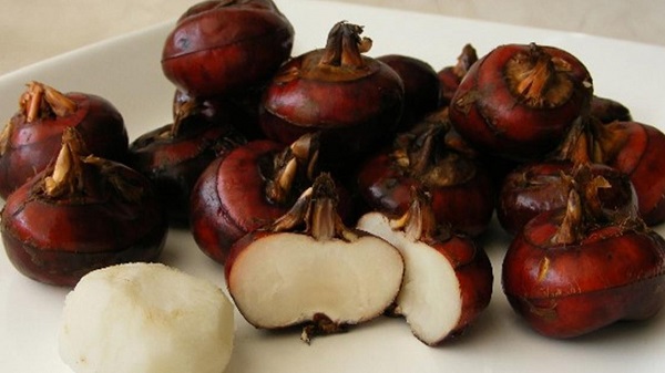 Củ năng không chỉ là thực phẩm mà trong Y học nó còn là một loại thảo dược