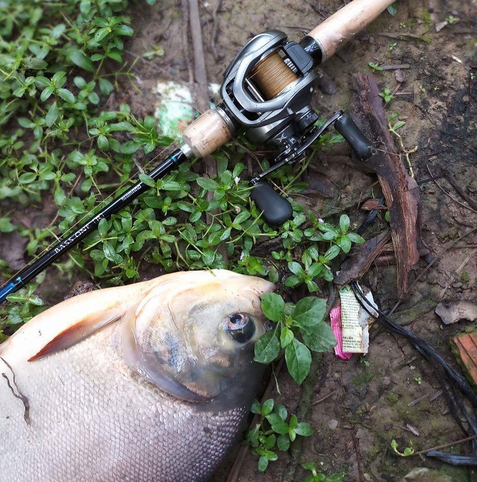 Câu cá lúc nào tốt nhất 