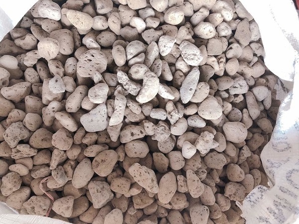 Loại giá thể này cần phải được làm sạch để tránh gây mặn cho hoa lan khi trồng