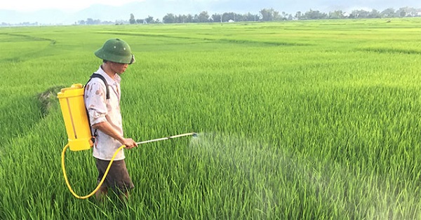 Bà con cần đảm bảo áp dụng đúng kỹ thuật pha thuốc trừ sâu an toàn