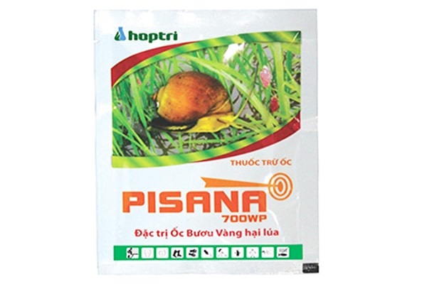 Ốc dính thuốc sẽ nhanh chóng suy yếu và chết