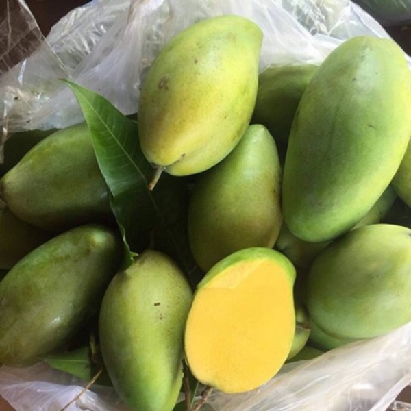 Xoài keo là giống xoài có vị chua ngọt hấp dẫn kích thích vị giác