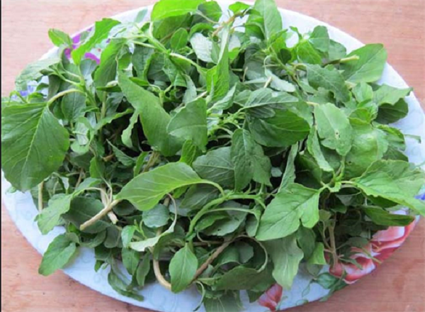 Rau dền có nhiều tác dụng có ích cho xương khớp