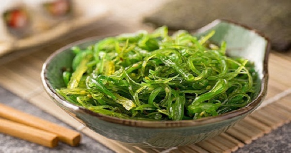 Rong biển WAKAME có thể ăn sống hoặc có thể chế biến thành soup