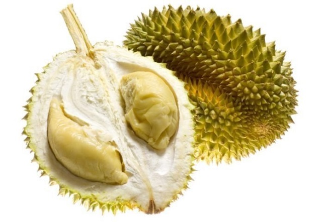 Sầu riêng Monthong được ưa chuộng không thua kém Ri 6 và là giống duy nhất dùng làm sầu riêng sấy