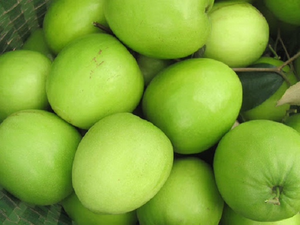 Táo Thái Lan tuy mới được du nhập vào nước ta nhưng được tiêu dùng khá nhiều