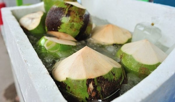 Chỉ cần căn chỉnh nhiệt độ thích hợp là bạn có thể bảo quản dừa được lâu