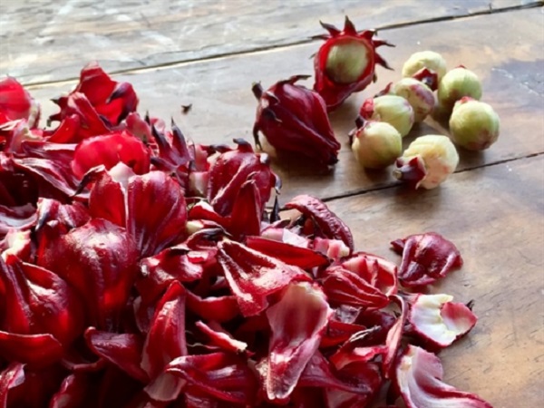 Chăm sóc cây tránh tình trạng để cỏ dại ăn mất chất dinh dưỡng