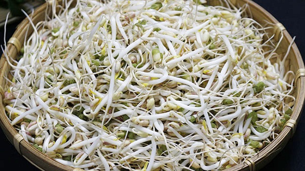 Giá đỗ tính hàn, ăn mát, nên rất được ưa chuộng trong nhà hàng hay trong gia đình