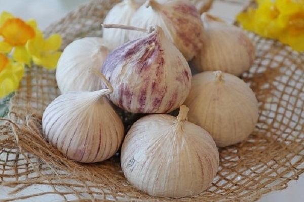 Tìm loại đất thích hợp sẽ cho năng suất cao