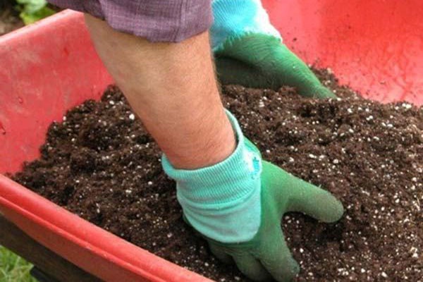 Đất cũ sau khi thu hoạch về cần phải được xử lí