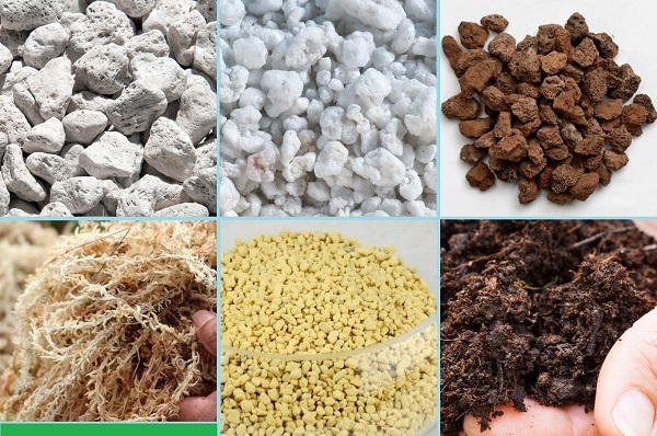 Trong đất trồng hoa hồng nên có xơ dừa để đảm bảo độ giữ ẩm của đất